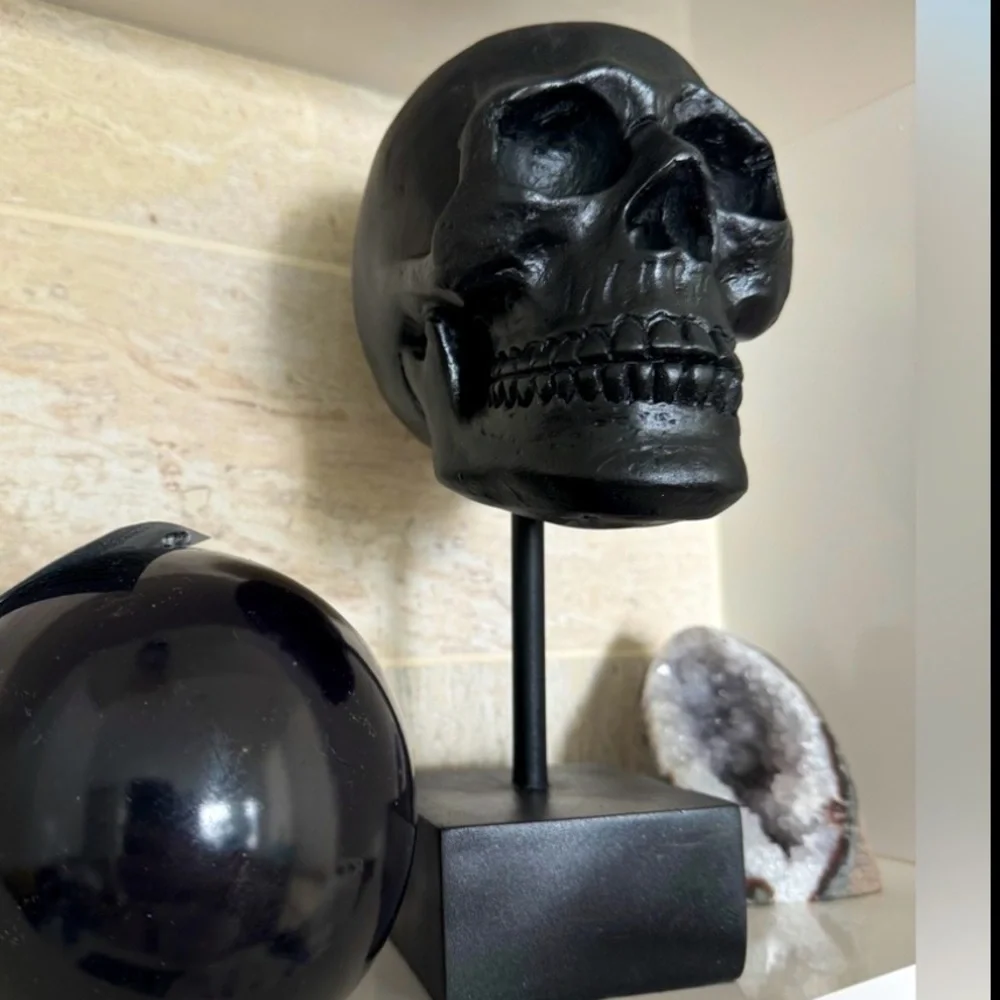 LAST ONE 🔥 Black‎ skull on stand